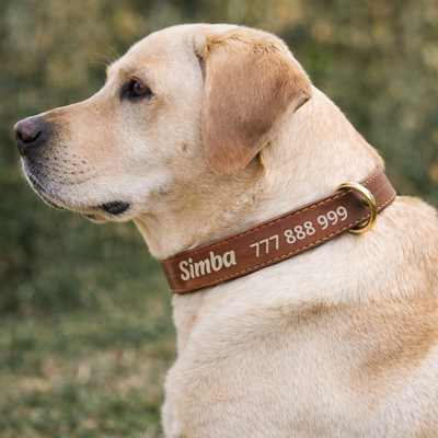 Skórzana obroża z personalizacją CANDY brązowa